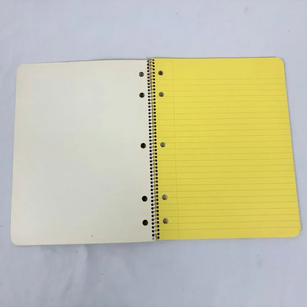 Vintage 1970s Westab Mead Love Notes Spiral Notebook Lot Color Filled Paper Rare